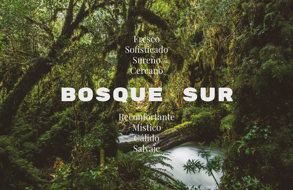 BRANDING BOSQUESUR
