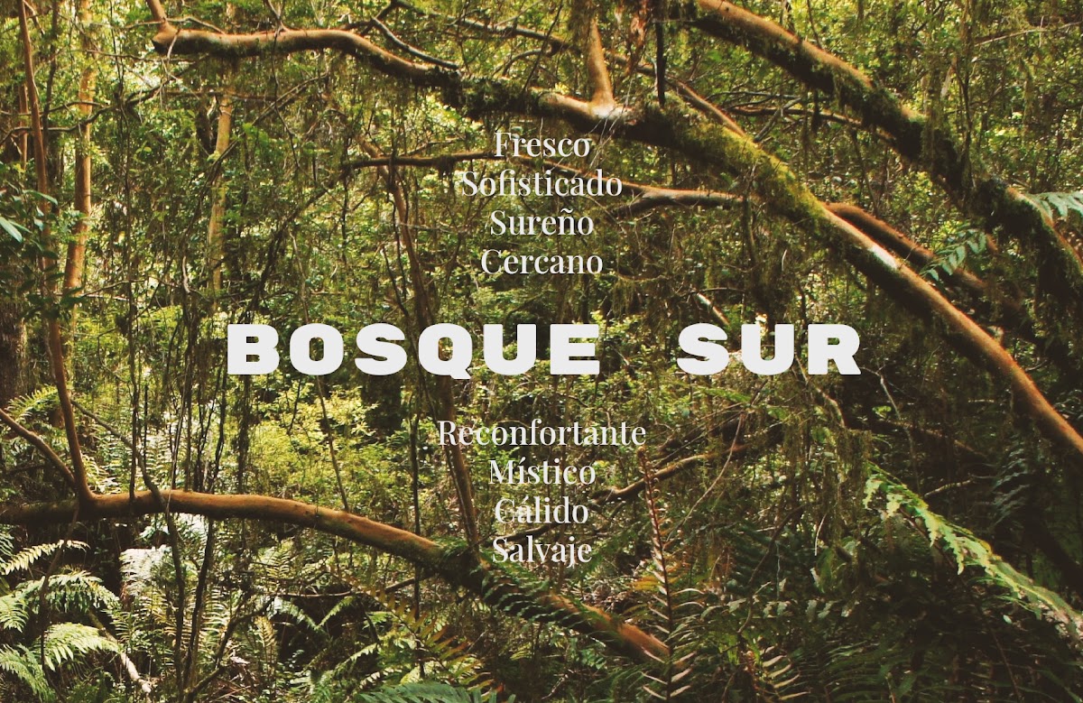 BRANDING BOSQUESUR