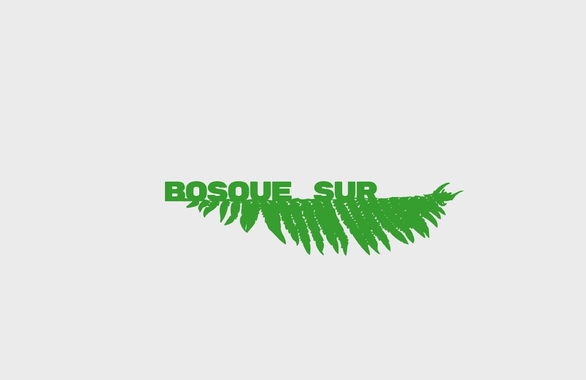 BRANDING BOSQUESUR